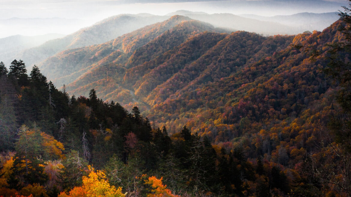 Great Smoky Mountains National Park