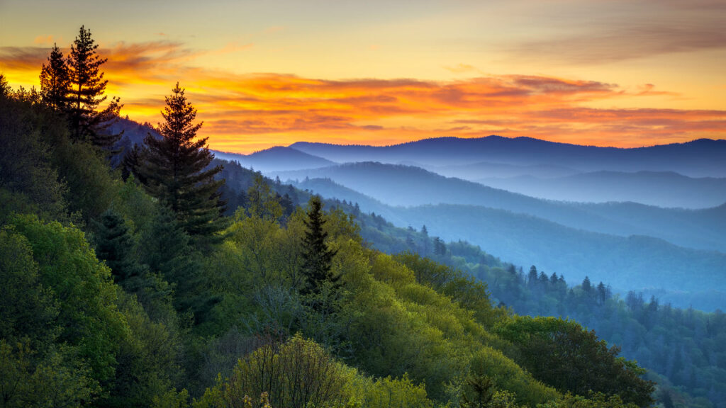 Misty mountain sunrise in Great Smoky Mountains National Park