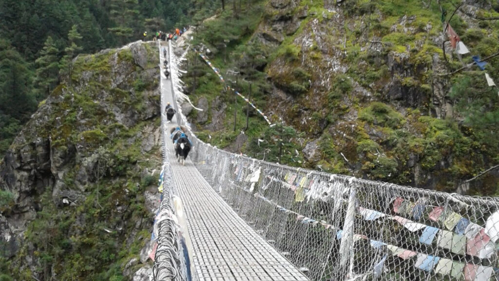 Suspension bridge over Langtang River