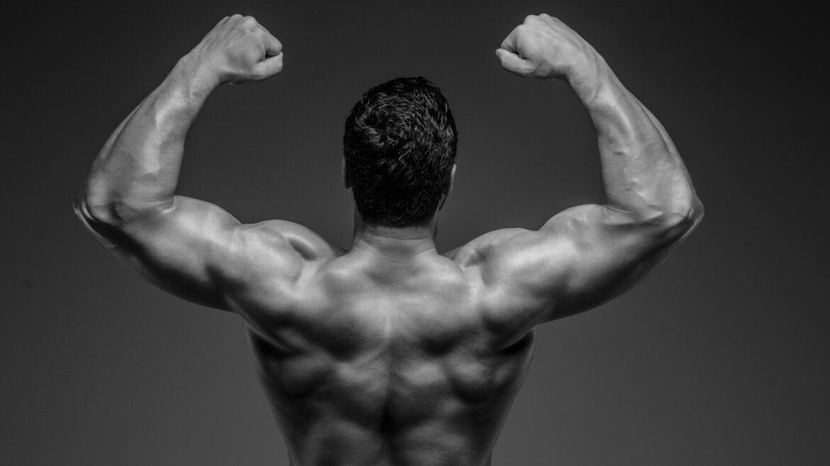 Strength Training for Beginners: Powerful Complete Guide Strength Training for Beginners